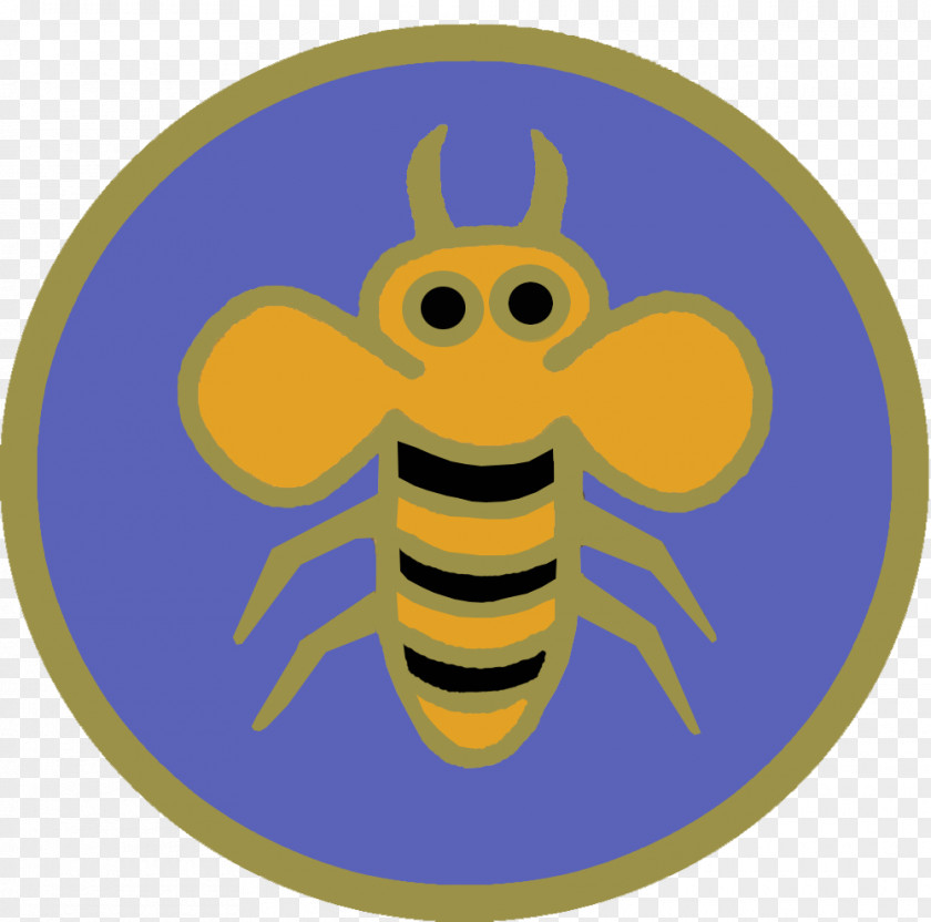 Bees Honey Bee Adventurers Seventh-day Adventist Church Insect PNG