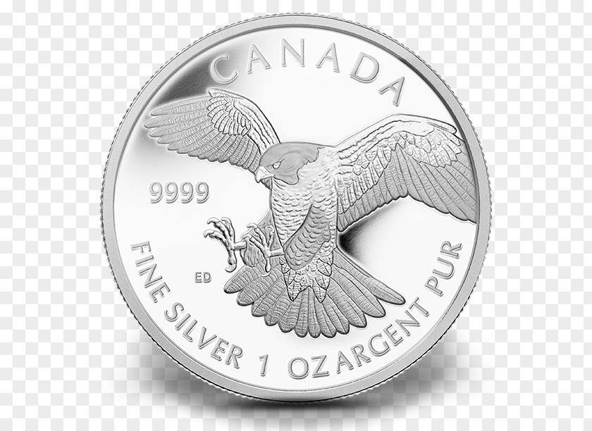 Silver Coin Peregrine Falcon PNG