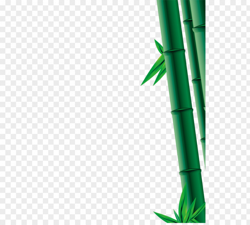 Bamboo,Dragon Boat Festival Bamboo U7aefu5348 PNG