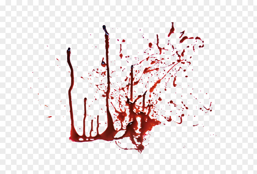Blood Spatter Residue PNG