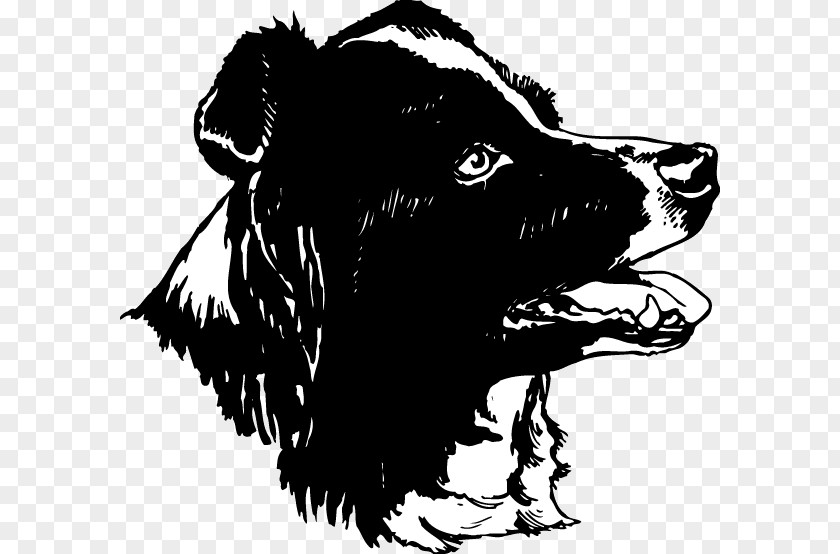 Car Dog Breed Border Collie Rough Sticker PNG