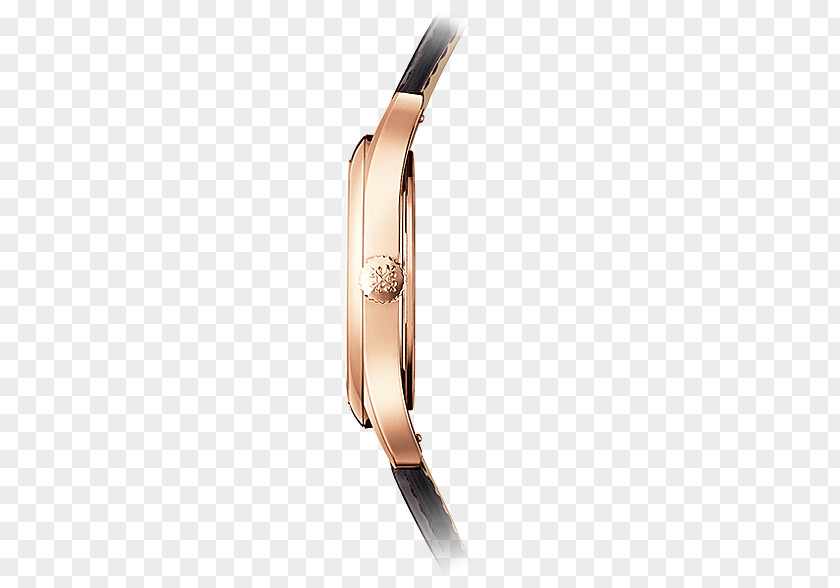 Gold Calatrava Complication Patek Philippe & Co. Automatic Watch PNG
