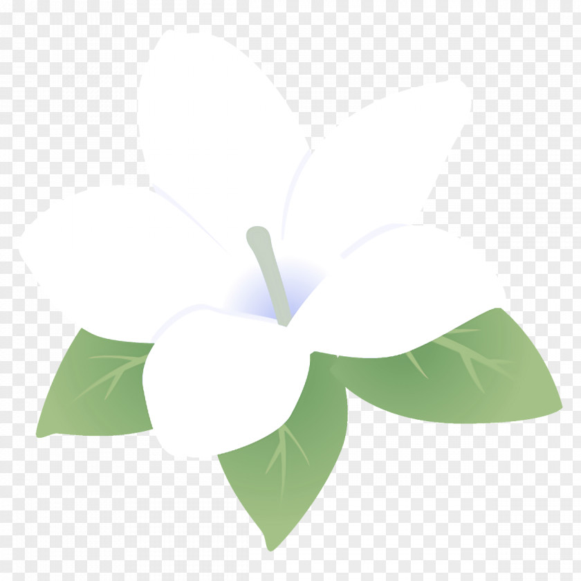 Logo Petal Green Leaf White Plant Flower PNG