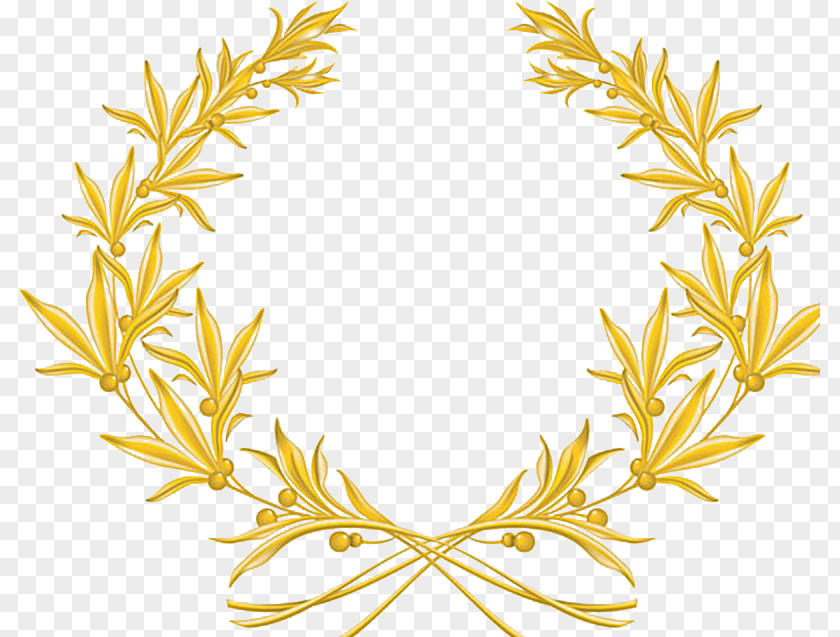 Olive Laurel Wreath Design Edge Branch PNG