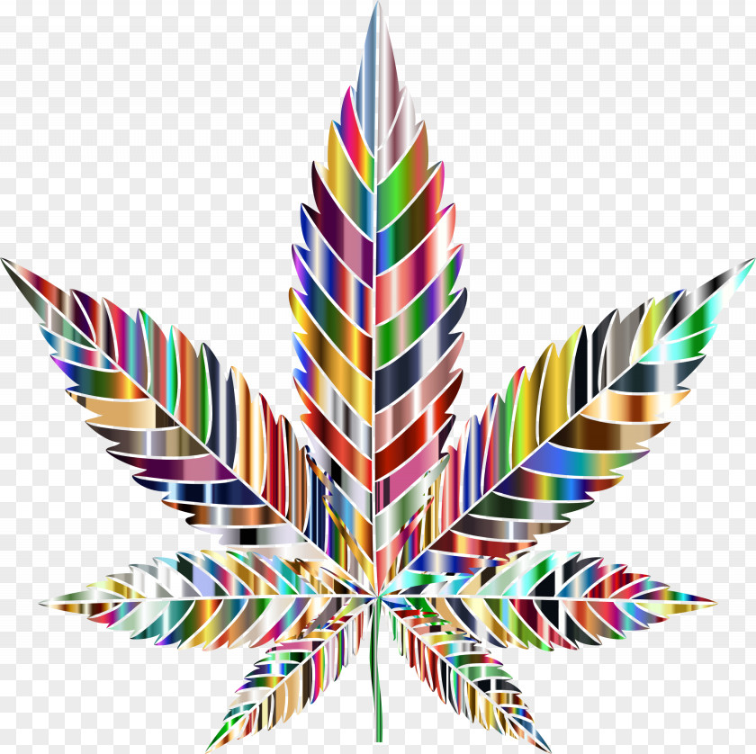 Trippy Cannabis Quotes Leaf Tea Drug Clip Art PNG