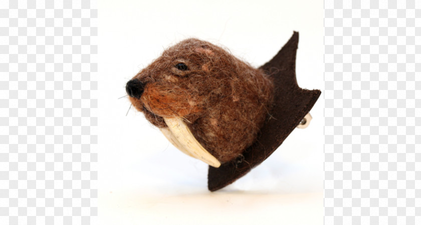 Trophy Tusks Snout Dog Fur Canidae Mammal PNG