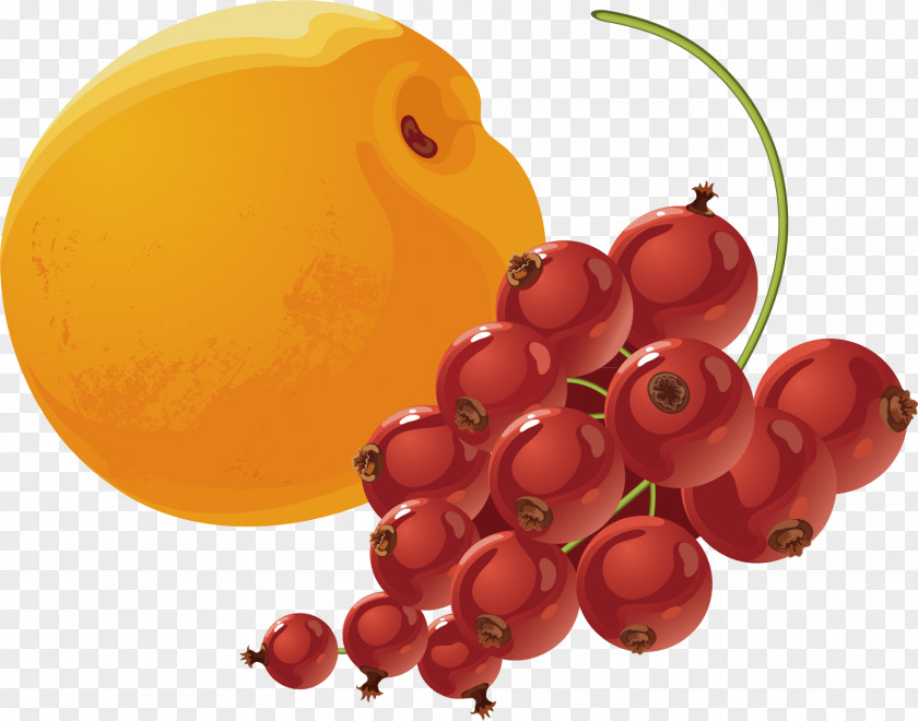 Apricot And Soda Material Armenian Food Berry PNG