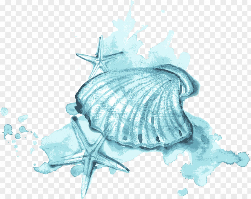 Blue Watercolor Shells And Starfish Seashell Painting Illustration PNG