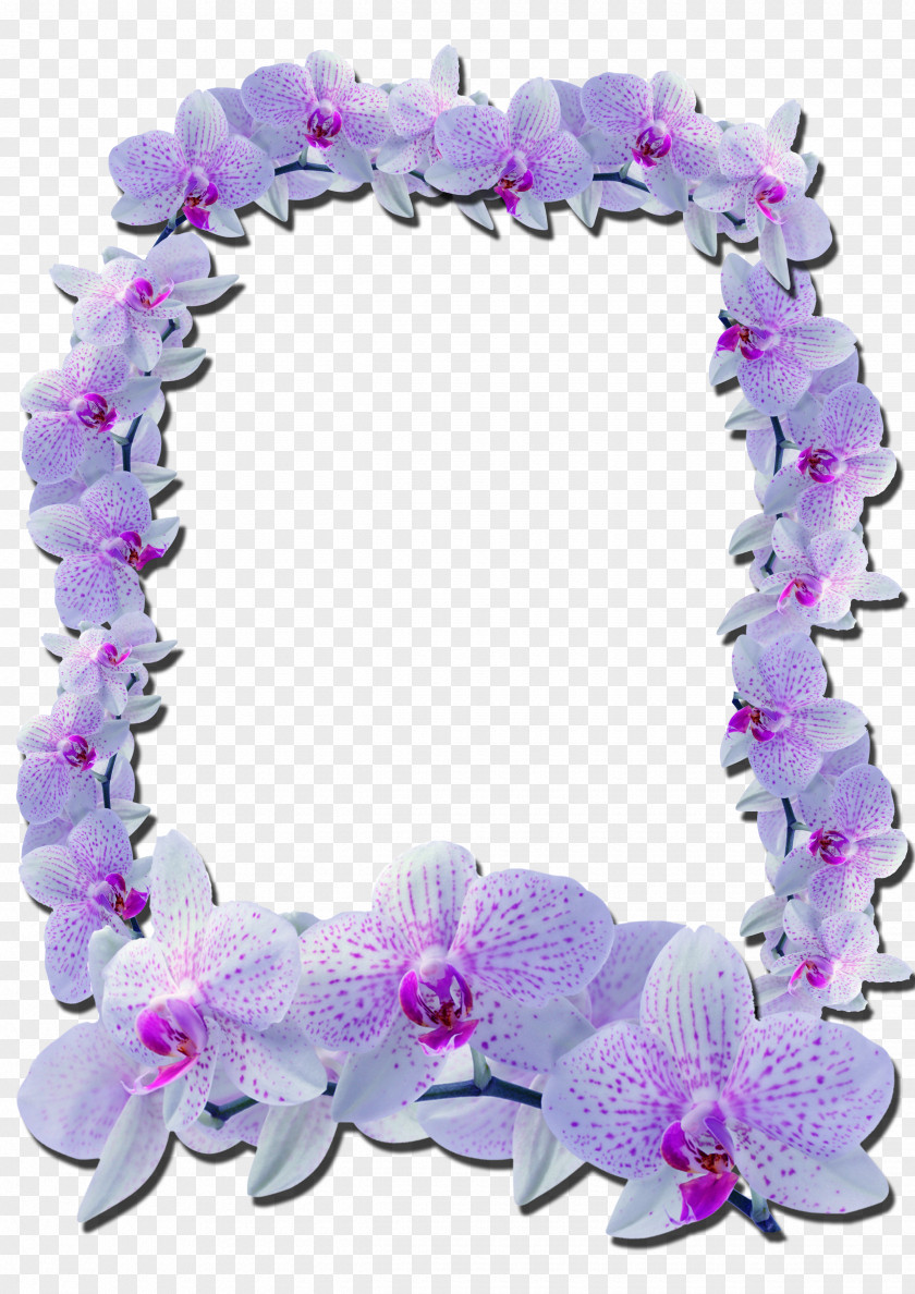 Mirror Picture Frames Photography Flower PNG