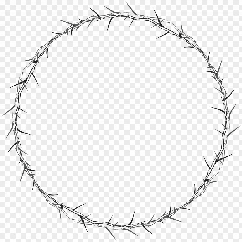 Round Frame Photos Circle Thorns, Spines, And Prickles Pixabay Illustration PNG