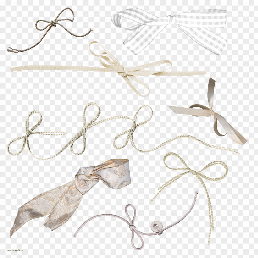 Shoelace Knot Clip Art PNG