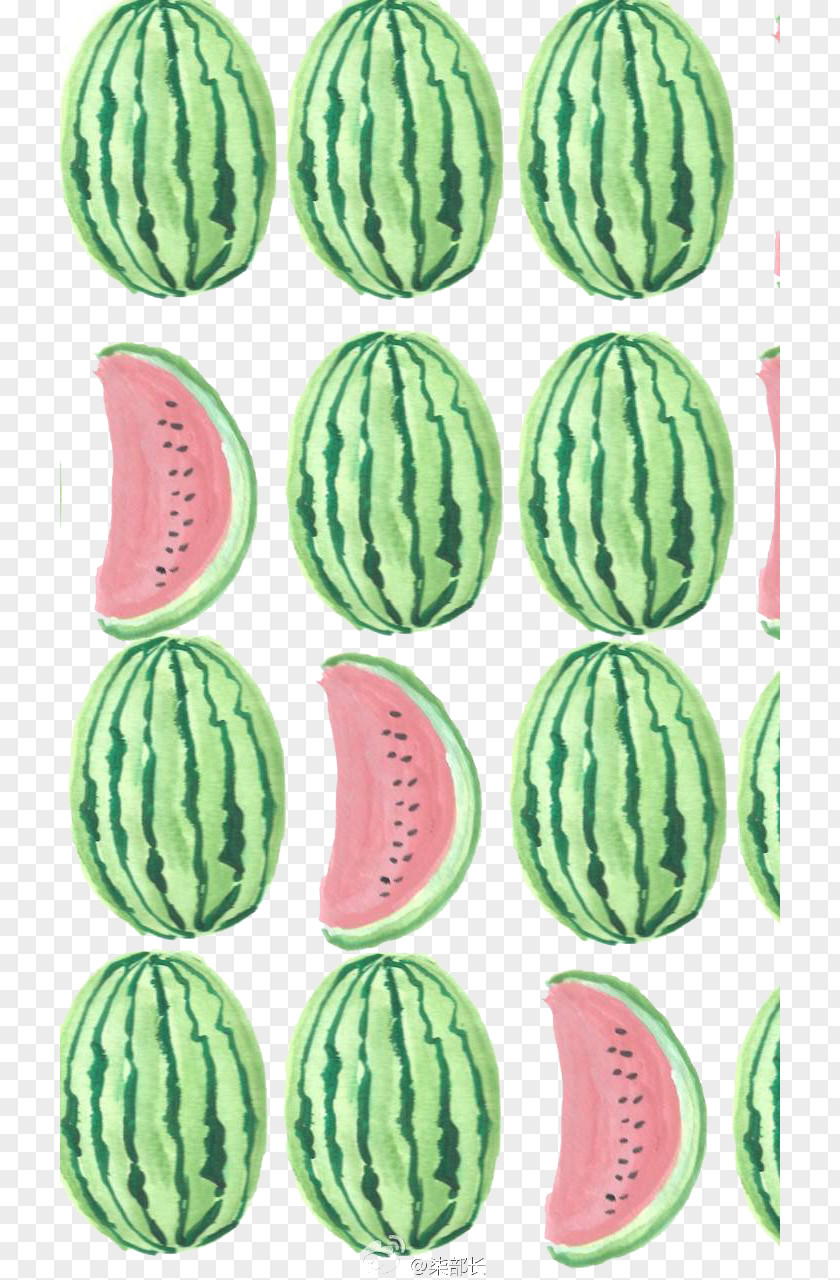 Time Watermelon Fruit Salad Drawing Pattern PNG