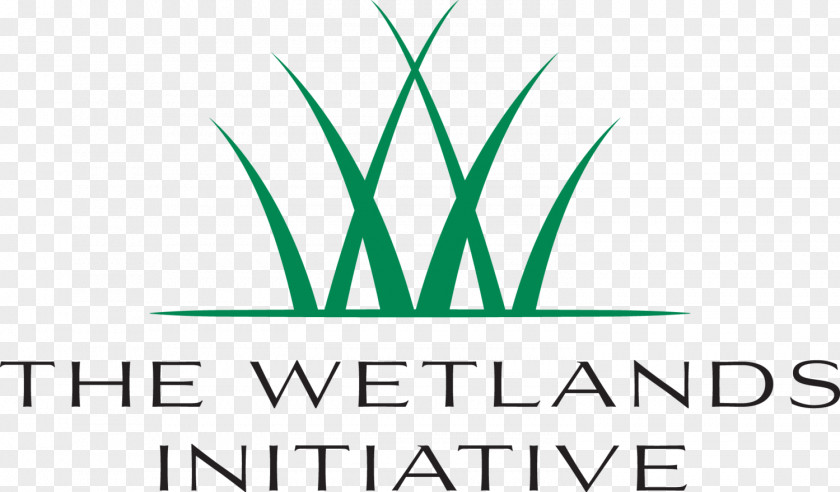 Wetlands Initiative Non-profit Organisation Water Prairie PNG