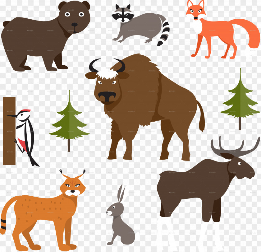 Animals Deer Moose Elk Raccoon Bear PNG