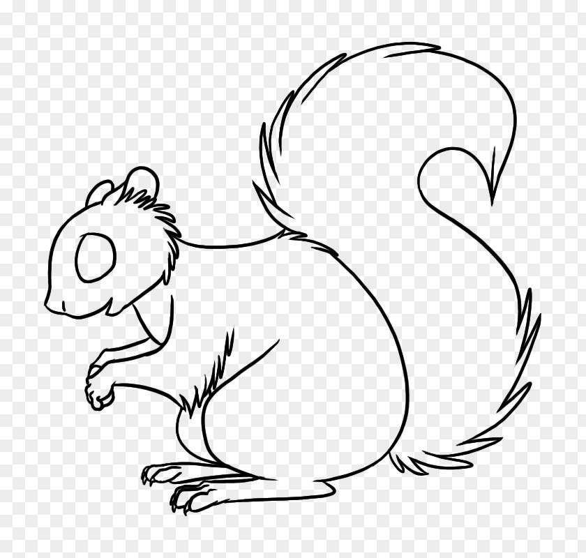 Cat Squirrel Line Art Drawing Painting PNG