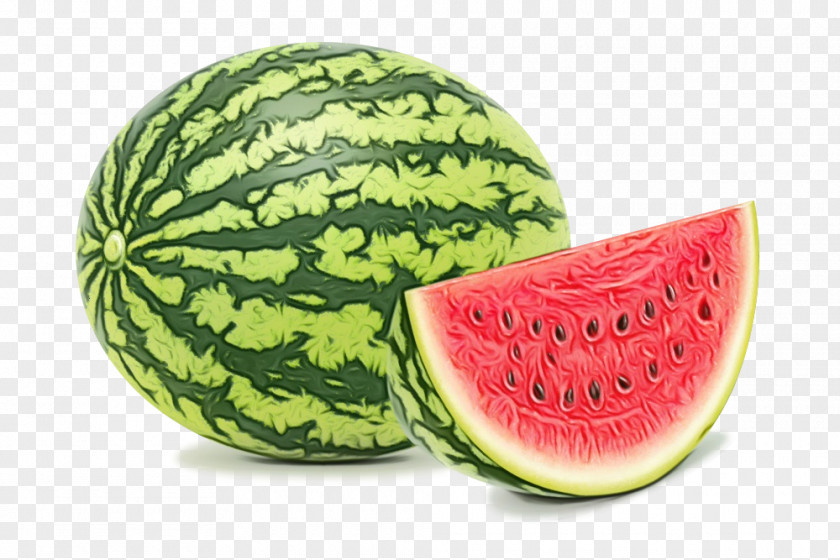 Cucumber Gourd And Melon Family Citrullus Watermelon PNG