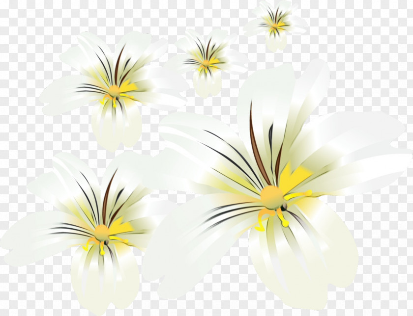Cut Flowers Petal Yellow Flower PNG
