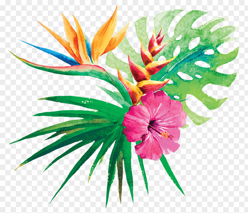 Flower Tropics PNG