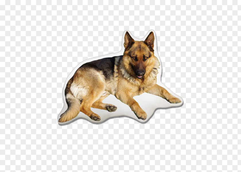 German Shepherd King Kunming Wolfdog Dog Breed PNG