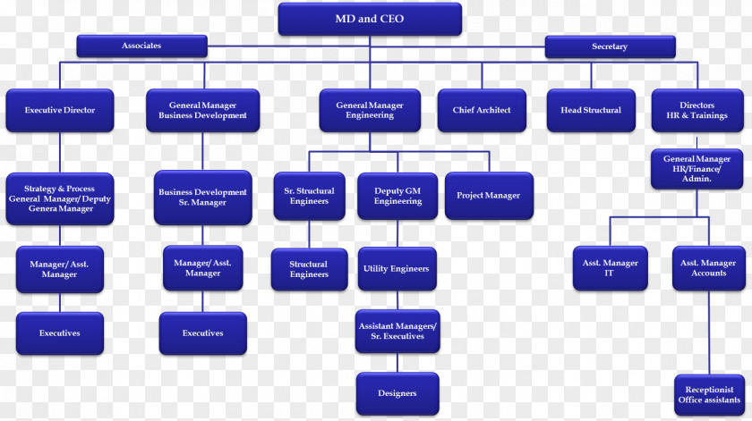 Organization Chart Organizational Business Development Structure PNG