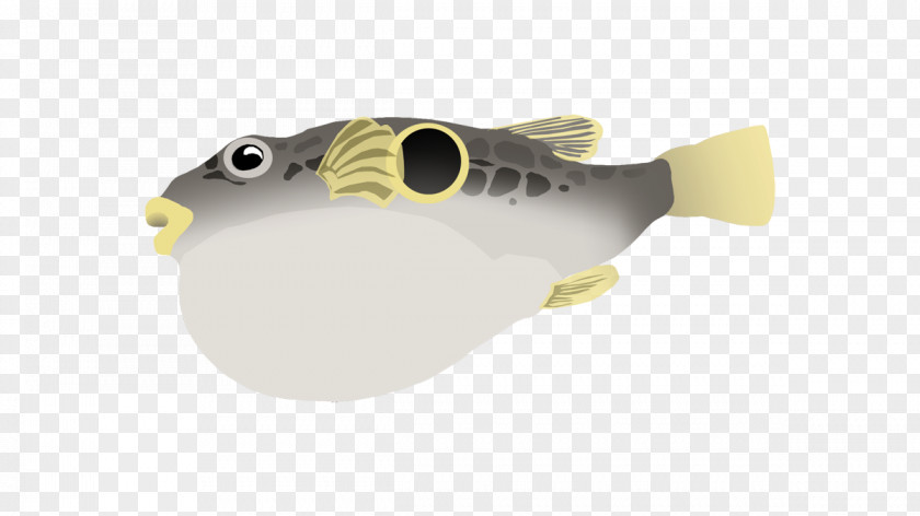 Puffer Fish PNG