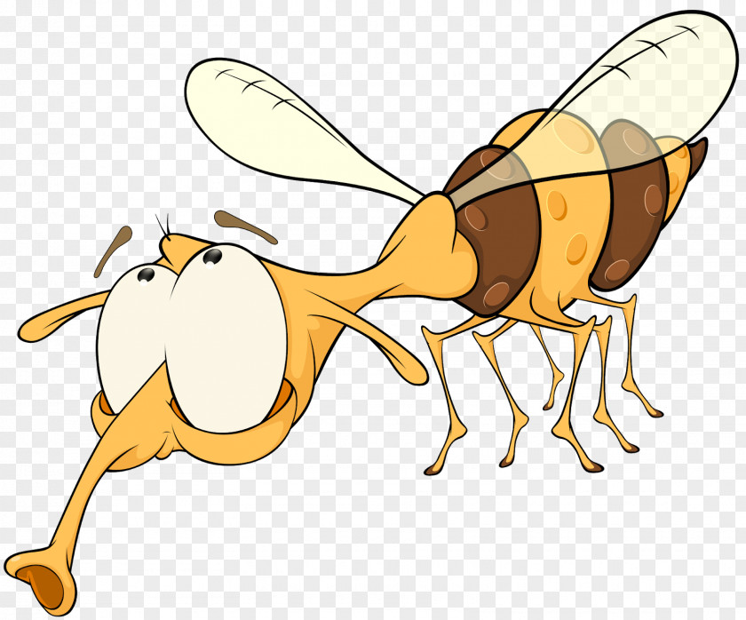 Wasp Honey Bee Insect Pollinator PNG