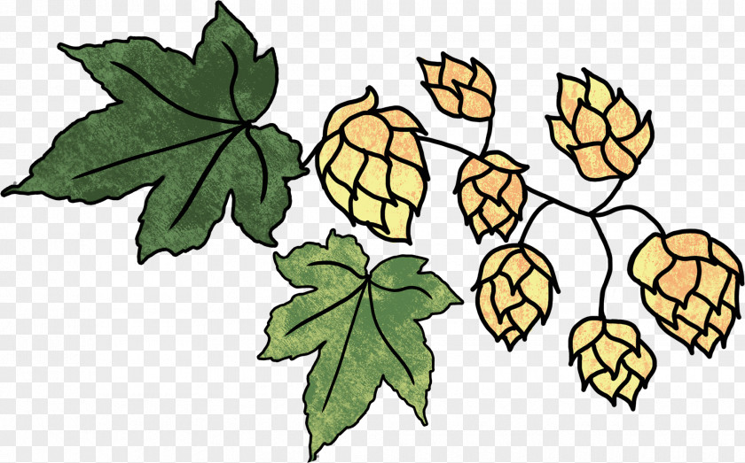 Beer Hops Brewing Brewery Clip Art PNG