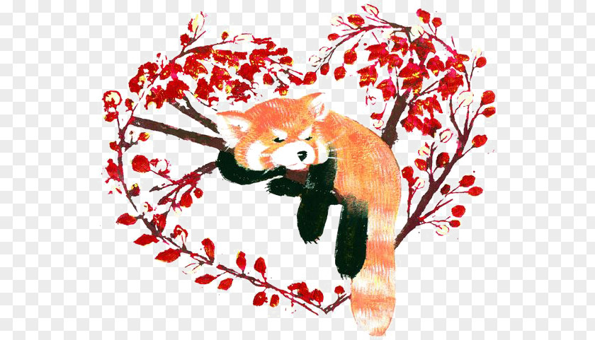 Cartoon Raccoon Red Panda Giant Clip Art PNG