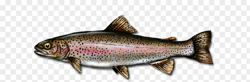 House Salmon Art River Wall PNG