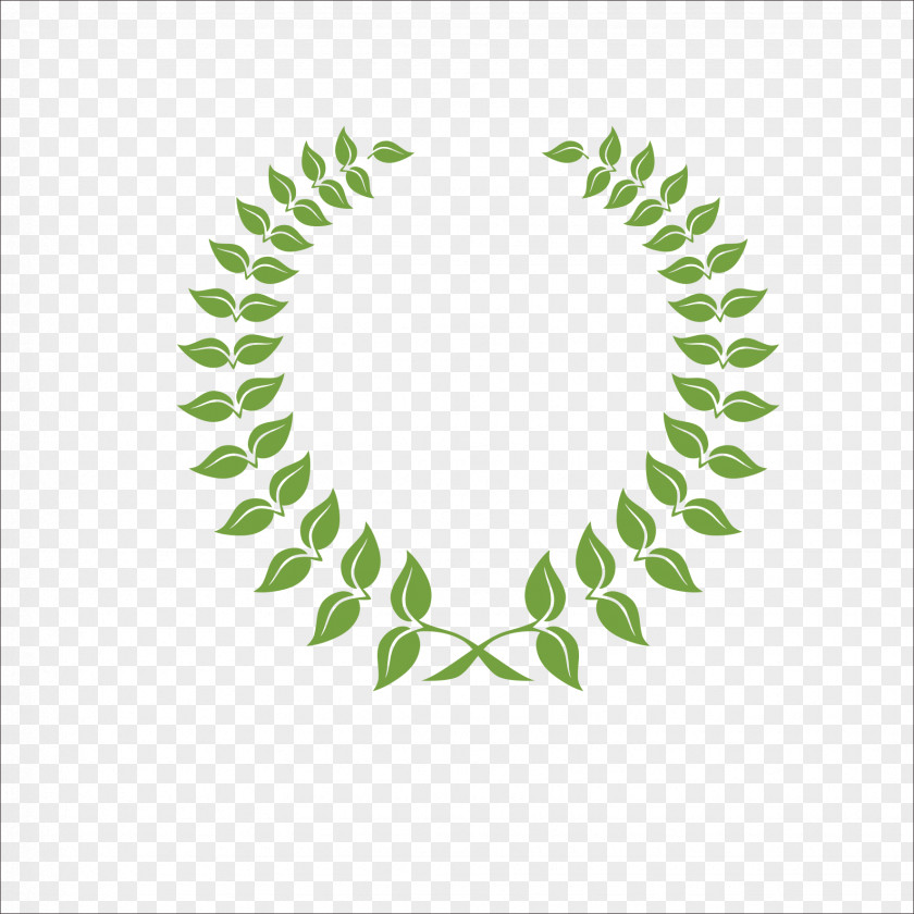 Olive Branch Leaf Laurel Wreath PNG