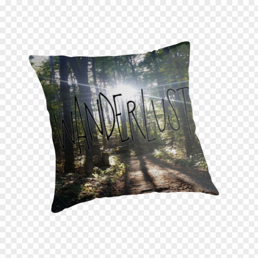 Pillow Throw Pillows Cushion PNG