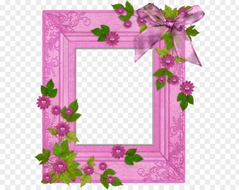 Purple Frame Picture Download PNG