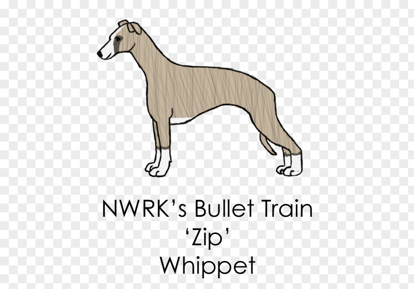 Sheltie Whippet Italian Greyhound Spanish Sloughi Dog Breed PNG