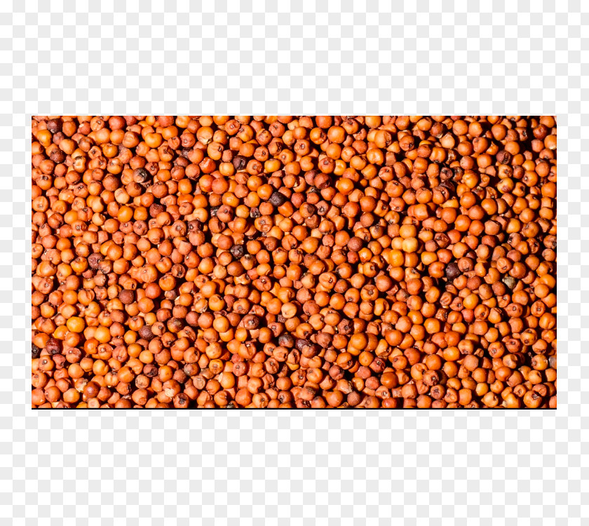Barley Seed Finger Millet Cereal Pearl PNG
