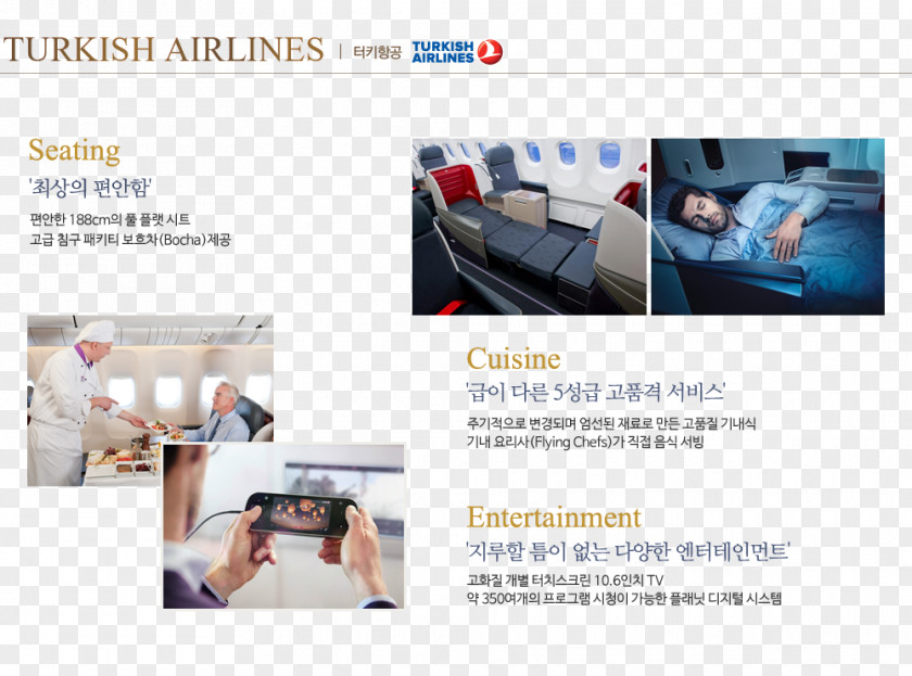Business Turkish Airlines Korean Air Delta Lines Etihad Airways PNG
