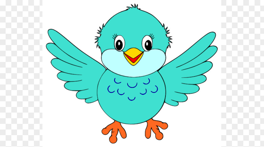 Cute Bird Clipart Drawing Clip Art PNG