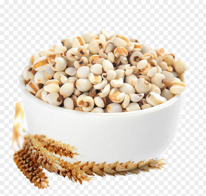 HD Bowl Of Barley Rice Tea Adlay Cereal Seed PNG