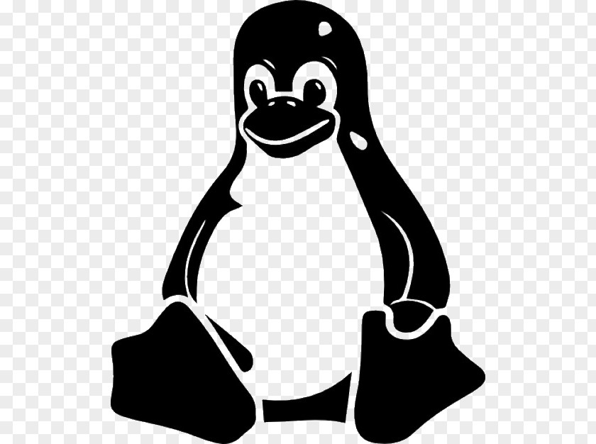 Linux Operating Systems Tux Vector Graphics PNG