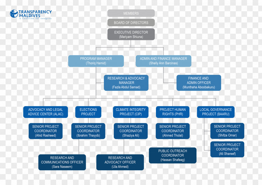 Organization Chart Organizational Structure Diagram PNG