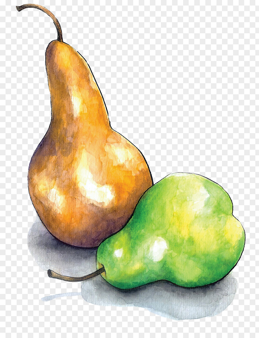 Pear Juice Brooksby Farm To School Gourd PNG