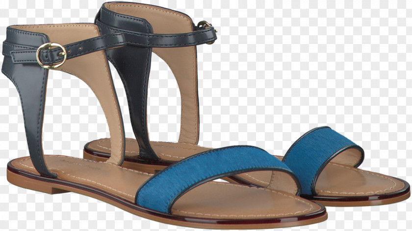 Sandal Footwear Shoe PNG