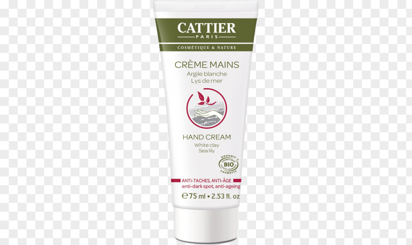 Anti Drugs Cream Cosmetics Clay Hand Velouté Sauce PNG