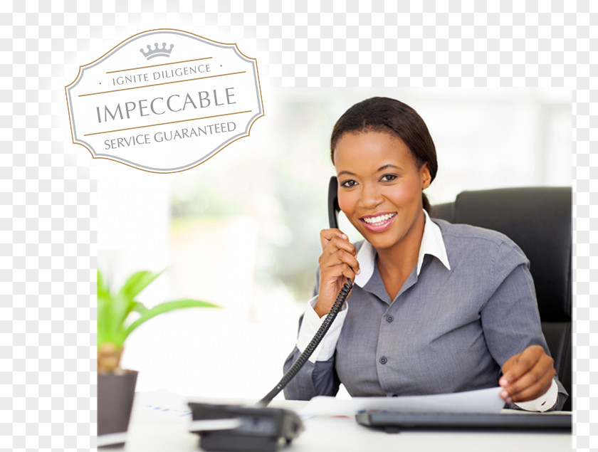 Business Management Unified Communications Consultant PNG