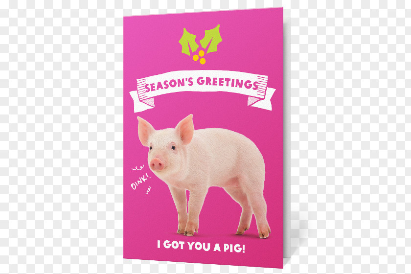 Pig Piglet Gift Oxfam Christmas PNG