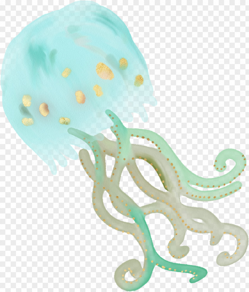 Sea Jellyfish Animal Invertebrate PNG