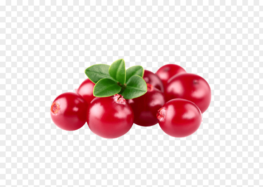 Tomato Ingredient Red Flower PNG