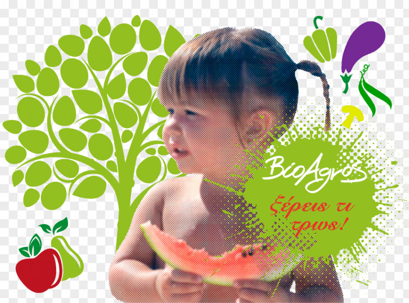 Watermelon Organic Food Farming Vegetable PNG