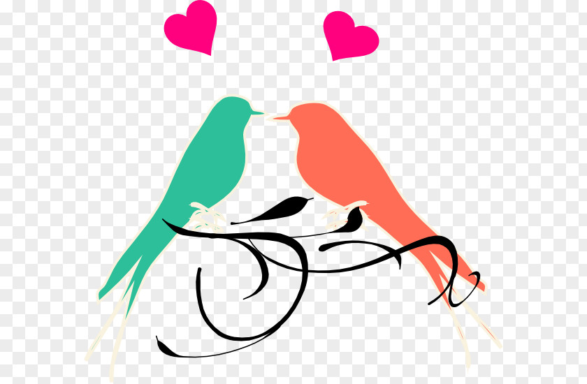 Bird Lovebird Wedding Clip Art PNG