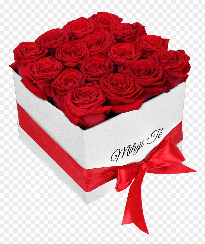 Flower Title Box Gift Cardboard Rose Frutiko.cz PNG