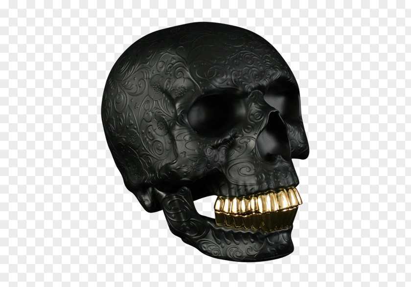 Skull Gold Teeth Human Tooth Jaw PNG